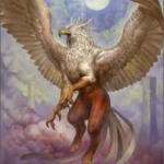 KingGriffin avatar